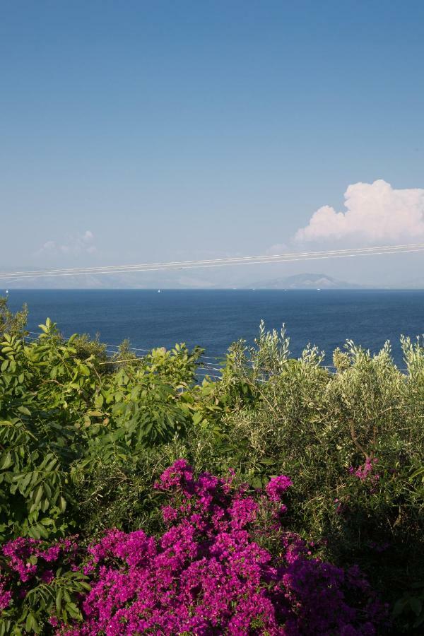 Ionian Garden Villas - Villa Pietra เวนิทเซส ภายนอก รูปภาพ